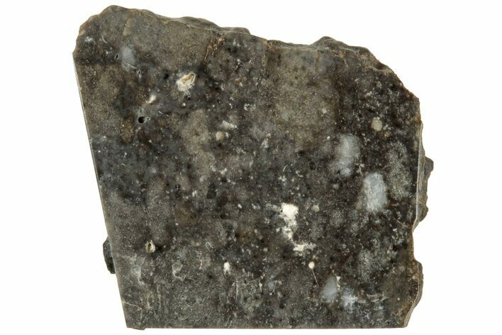 Lunar Meteorite ( g) Slice - NWA #312862